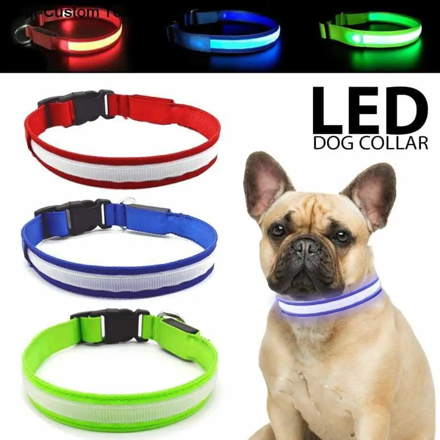 Talis LED Light-Up Dog Collar (Micro-USB) Talis Us