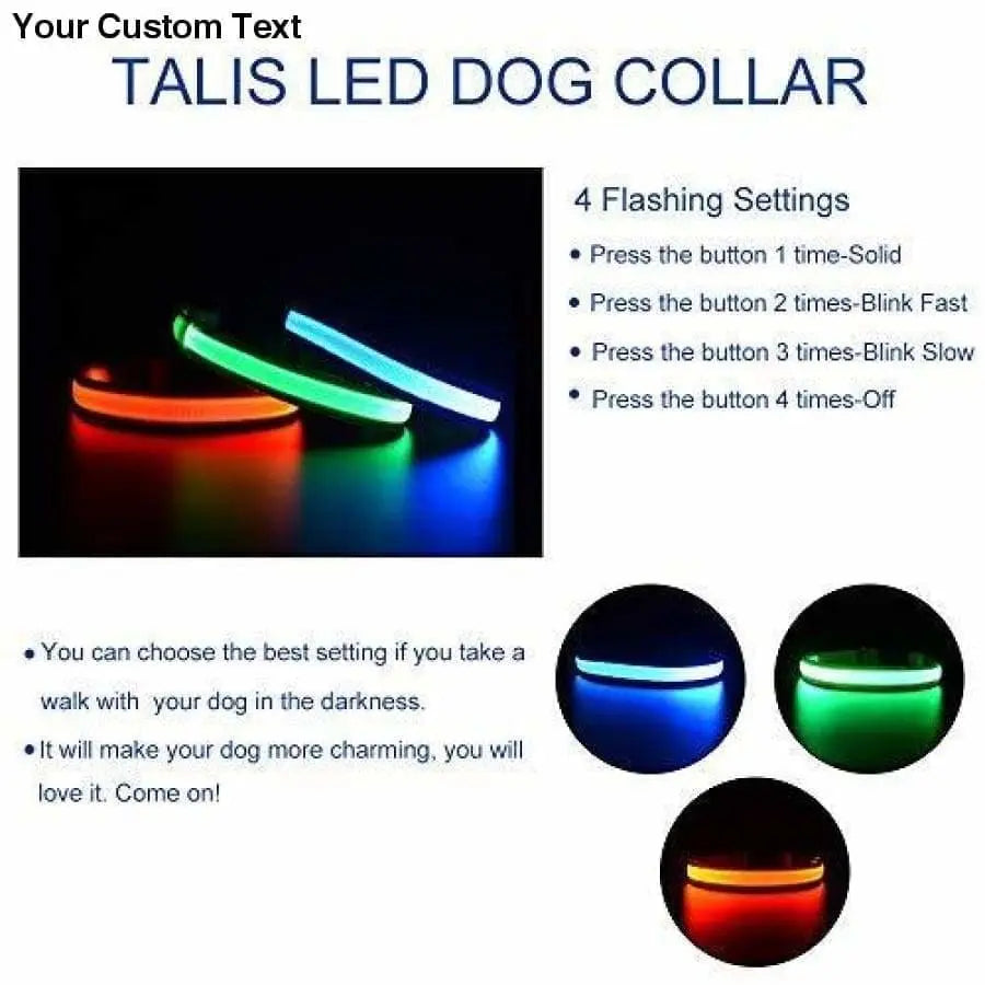 Talis LED Light-Up Dog Collar (Micro-USB) Talis Us