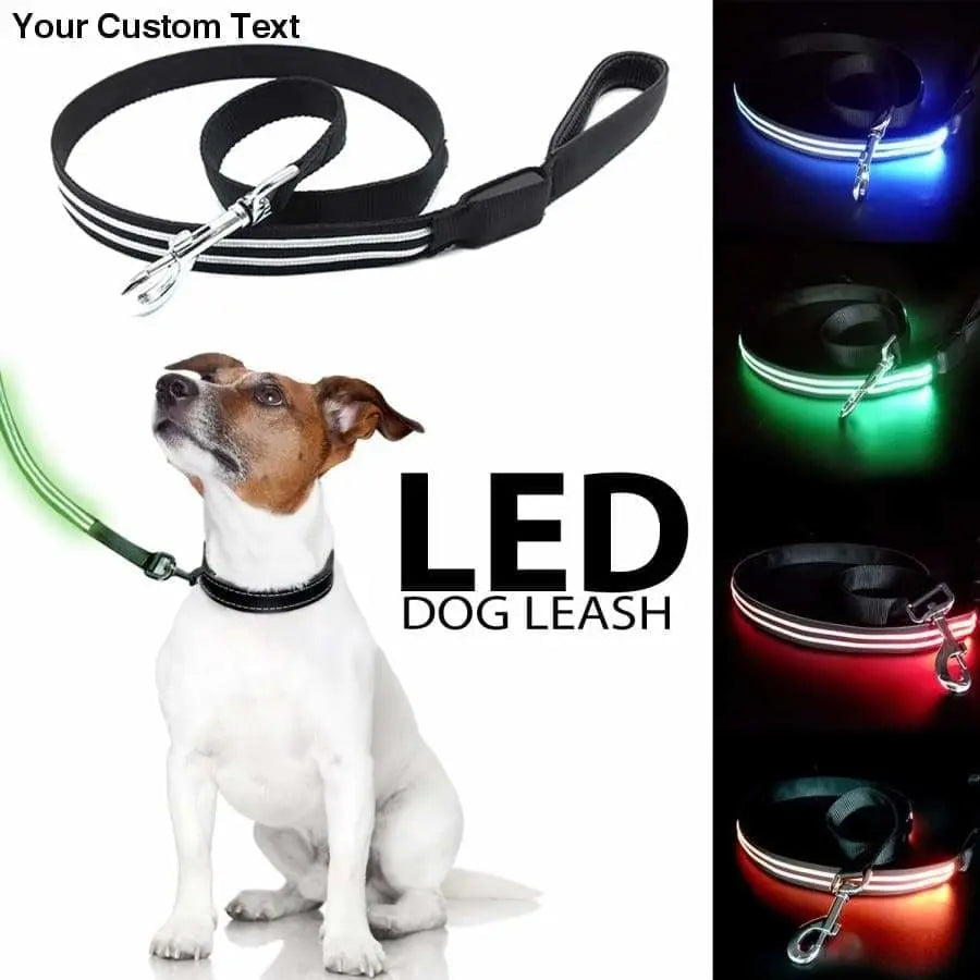 Talis LED Light-Up Dog Leash Talis Us