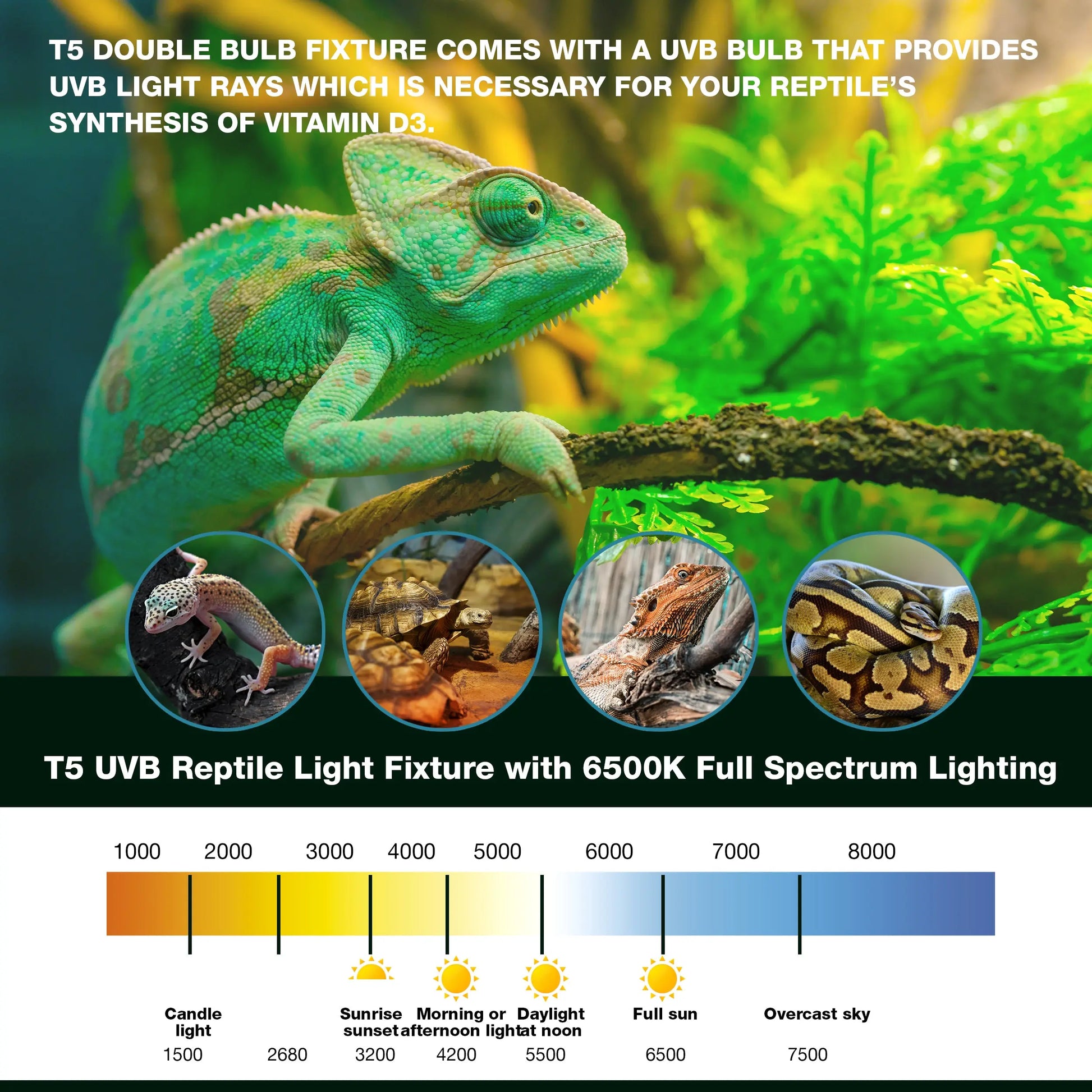 Talis-us Double Bulb Fixture with Arcadia and 6.5k Day-Light Bulbs HO T5 UVB Reptile Light Terrarium Hood Talis Us