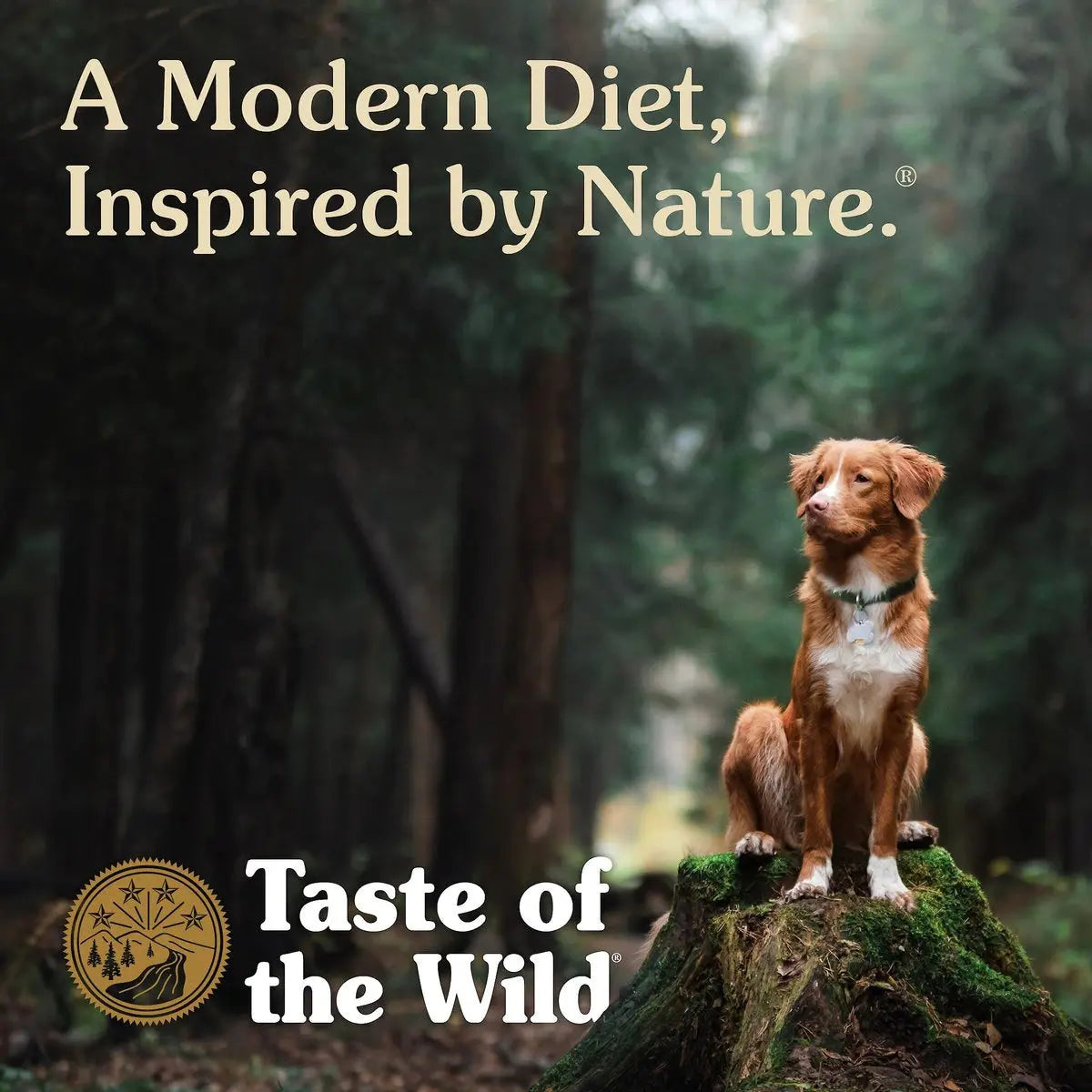 Taste of the Wild® Pacific Stream® Grain Free Smoked Salmon Recipe Dog Food Taste of the Wild®