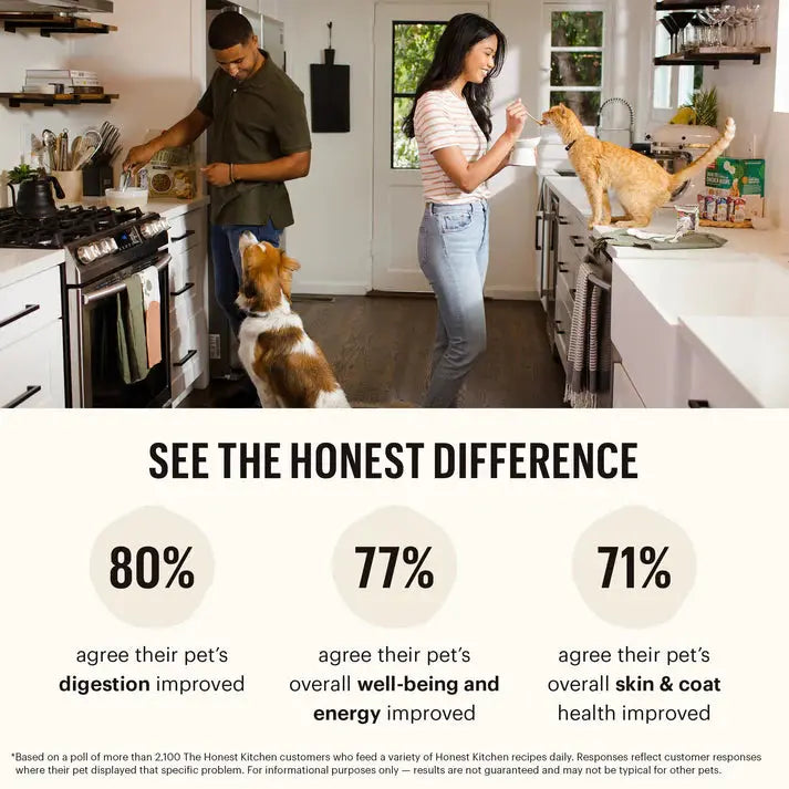 The Honest Kitchen Whole Food Clusters Grain Free Beef Dry Dog Food The Honest Kitchen