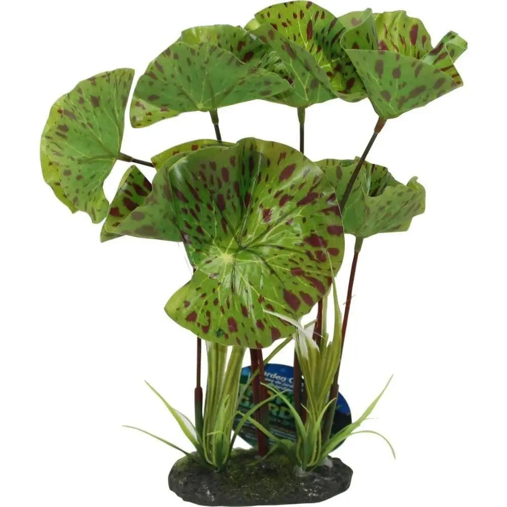 Tropical Gardens Lotus Plant Blue Ribbon Pet