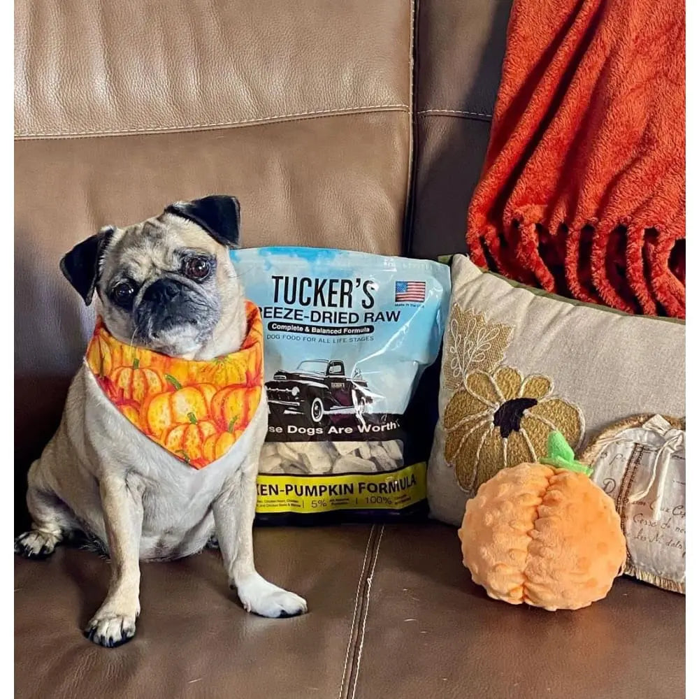 Tucker's® Chicken-Pumpkin Formula Freeze-Dried Dog Food, 14 Oz Tucker's