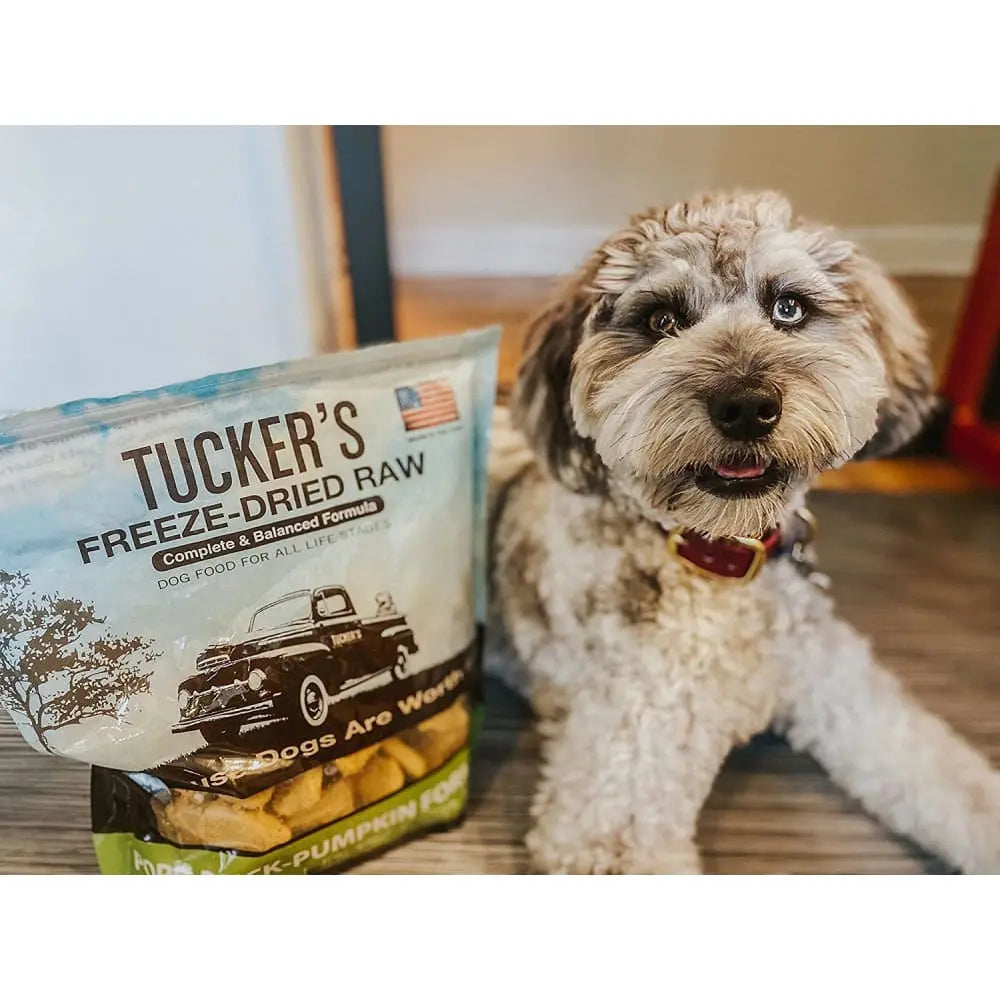 Tucker's® Raw Basics Pork-Duck- Pumpkin Raw Frozen Food For Dogs Tucker's