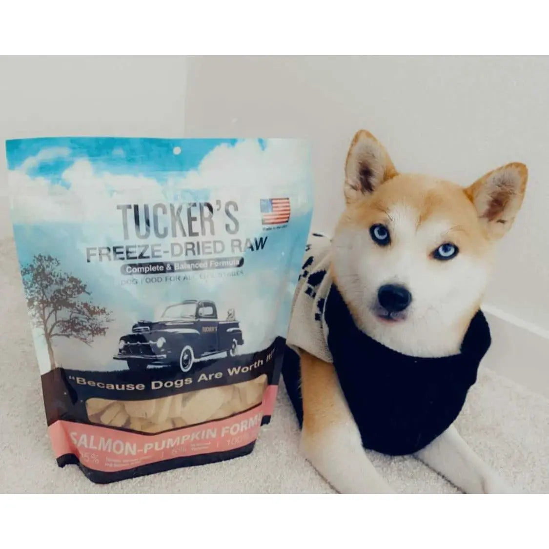 Tucker's® Salmon-Pumpkin Formula Freeze-Dried Dog Food, 12 Oz Tucker's