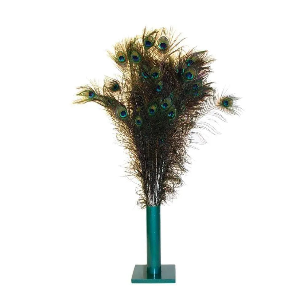 Vee Enterprises Natural Peacock Feather Cat Toys 100 Count Vee Enterprises