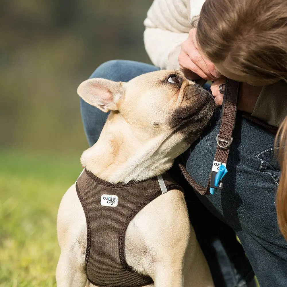 Vest Harness Cord with Air-Mesh Lining Step-in Dog Harness Lightweight for Small Dogs Curli