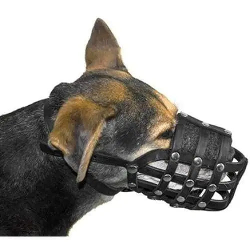 Viper Echo Leather Basket Dog Muzzle Dogline WP