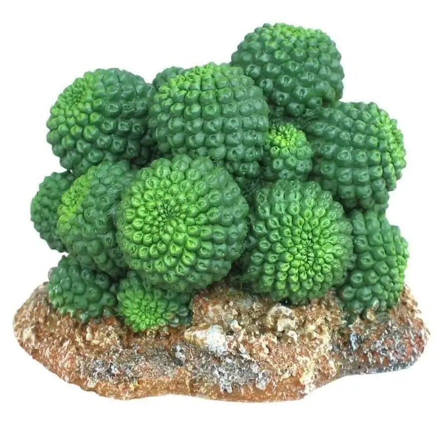 Wecorama Badlands Sonoran Cactus Terrarium Ornament Sonoran Cactus Brown, Green 1ea/2.92 in Weco CPD