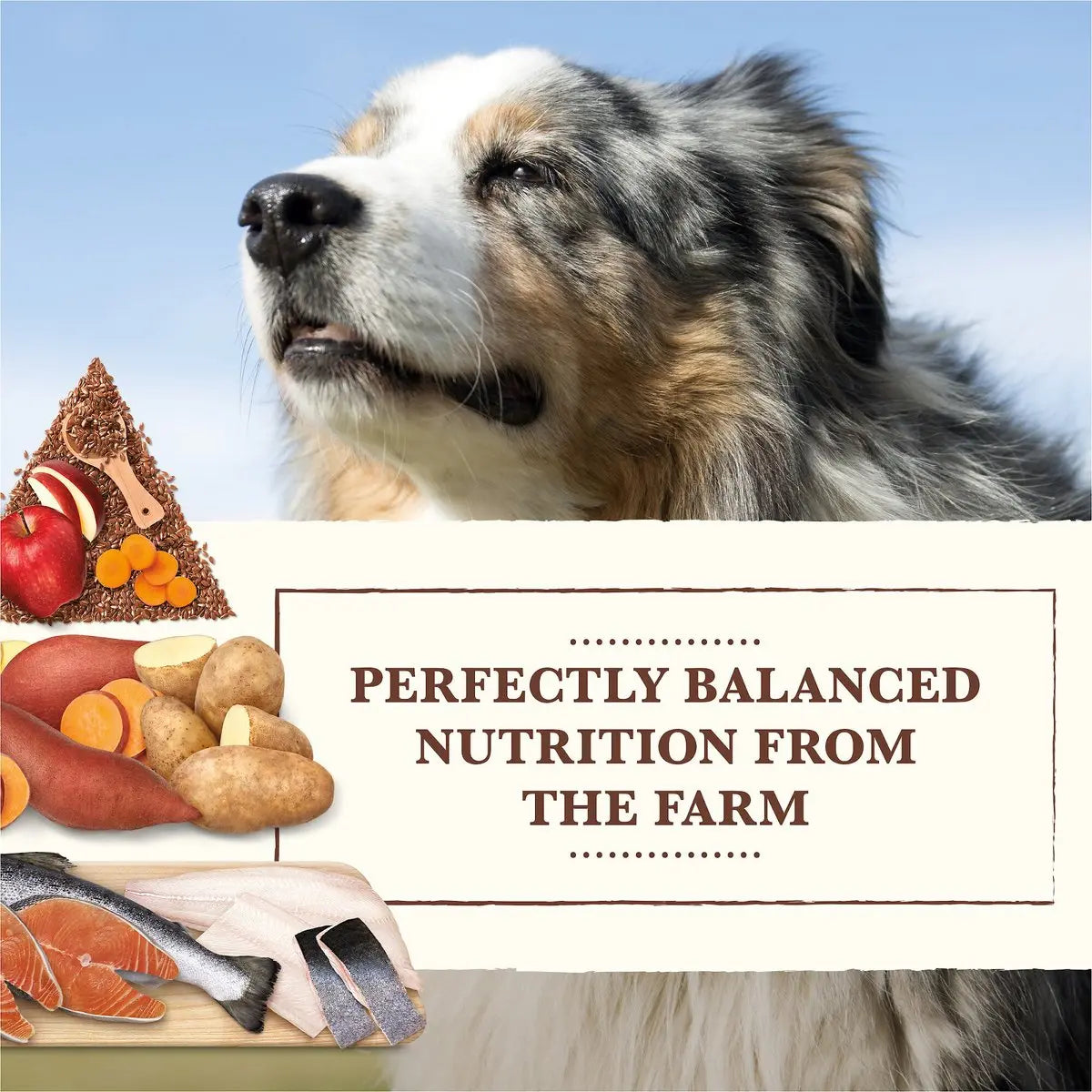 Whole Earth Farms® Goodness from the Earth Grain Free Salmon & Whitefish Recipe Dog Food 25 Lbs Whole Earth Farms®