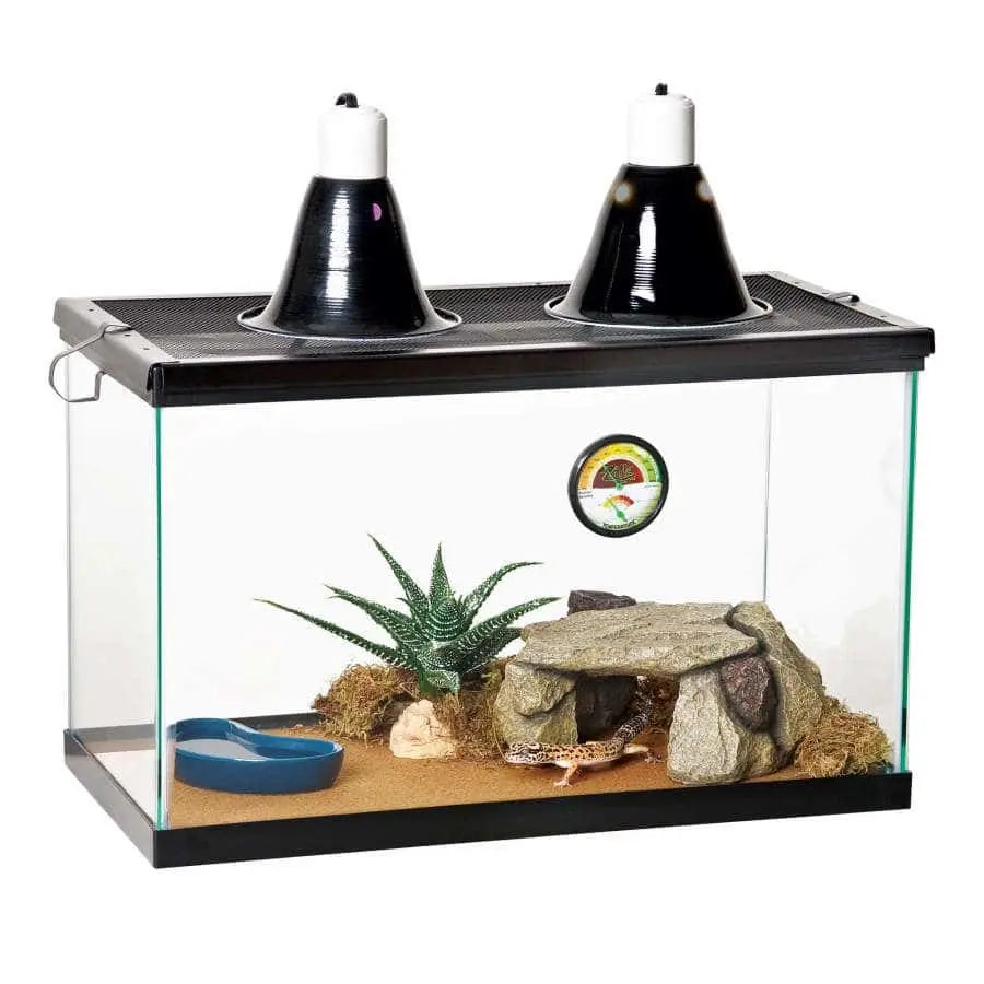 Zilla Desert Reptile Terrarium Starter Kit 10 Zilla®