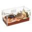 Zilla Micro Reptile and Amphibian Habitats Arboreal Zilla®