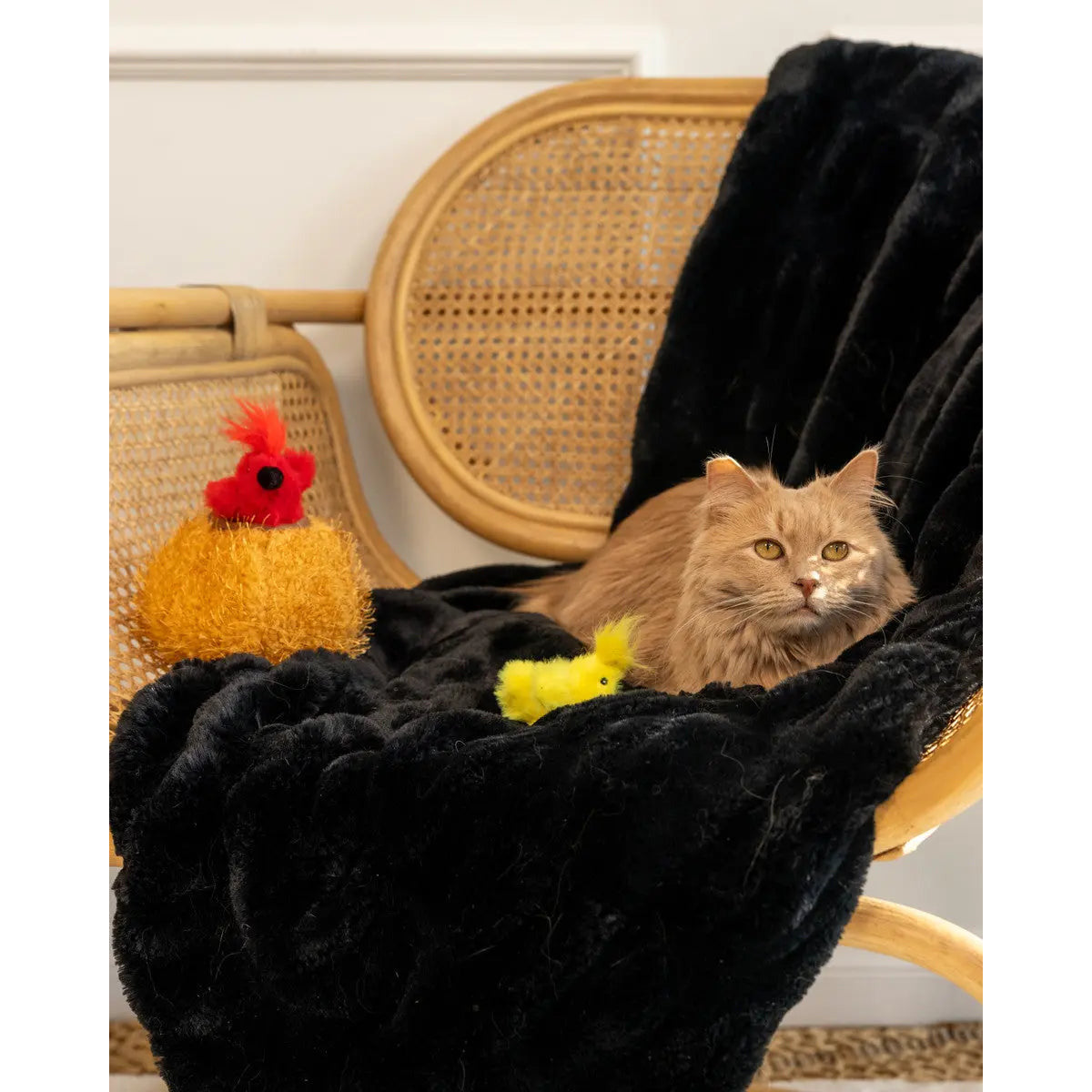 ZippyClaws Burrow Birds in Nest Cat Toys Zippy Paws