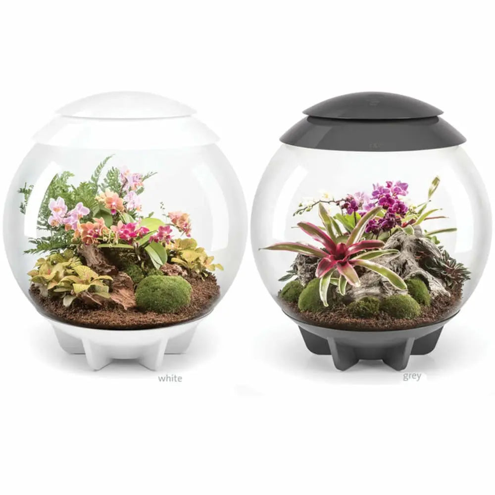 biOrb AIR LED Terrarium BiOrb