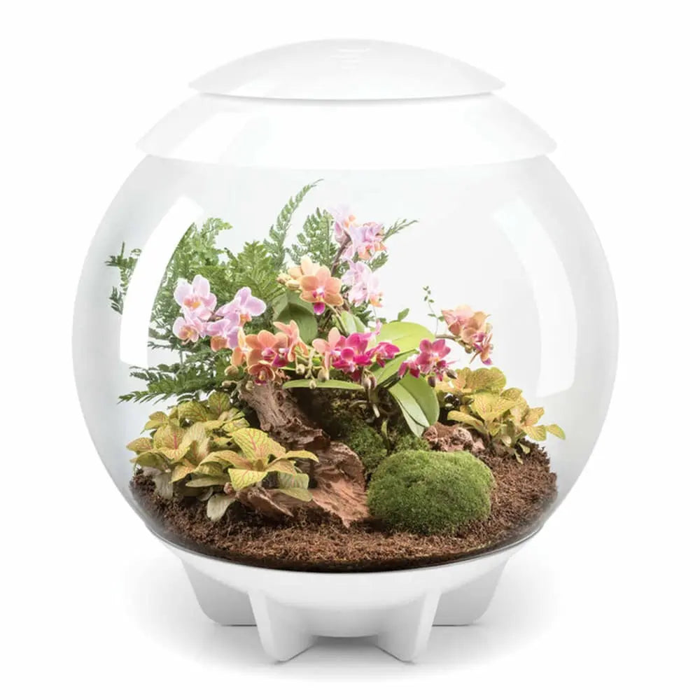 biOrb AIR LED Terrarium BiOrb