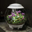 biOrb AIR LED Terrarium BiOrb