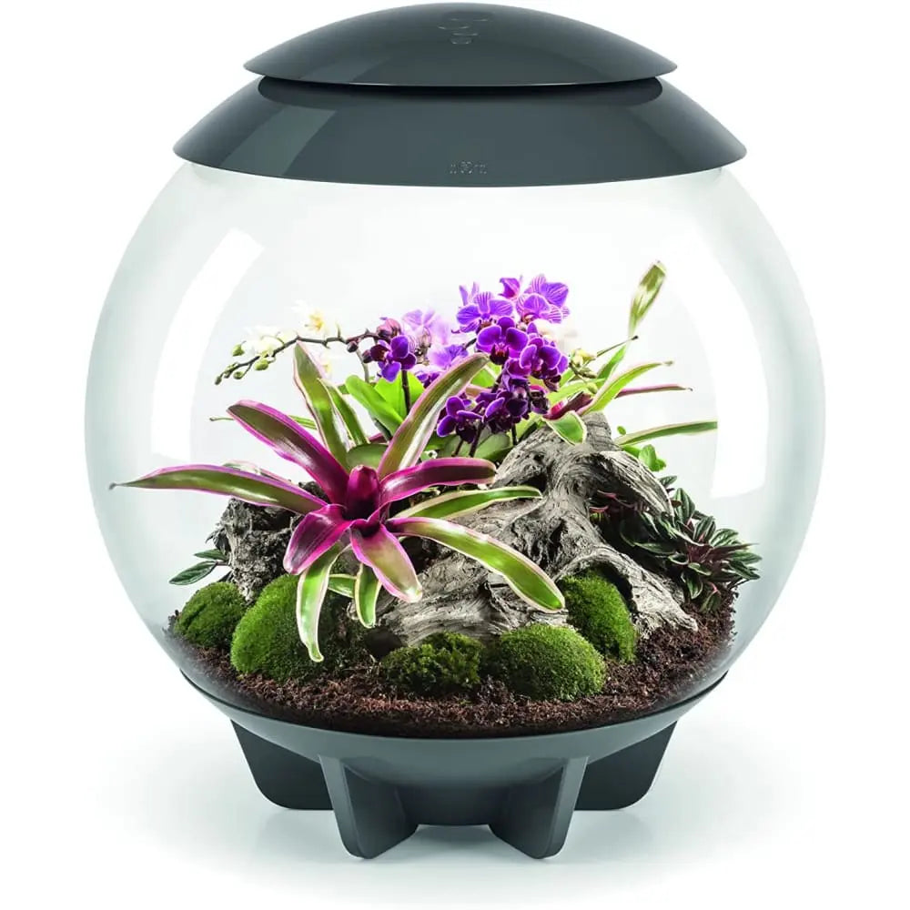 biOrb AIR LED Terrarium BiOrb