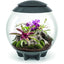 biOrb AIR LED Terrarium BiOrb