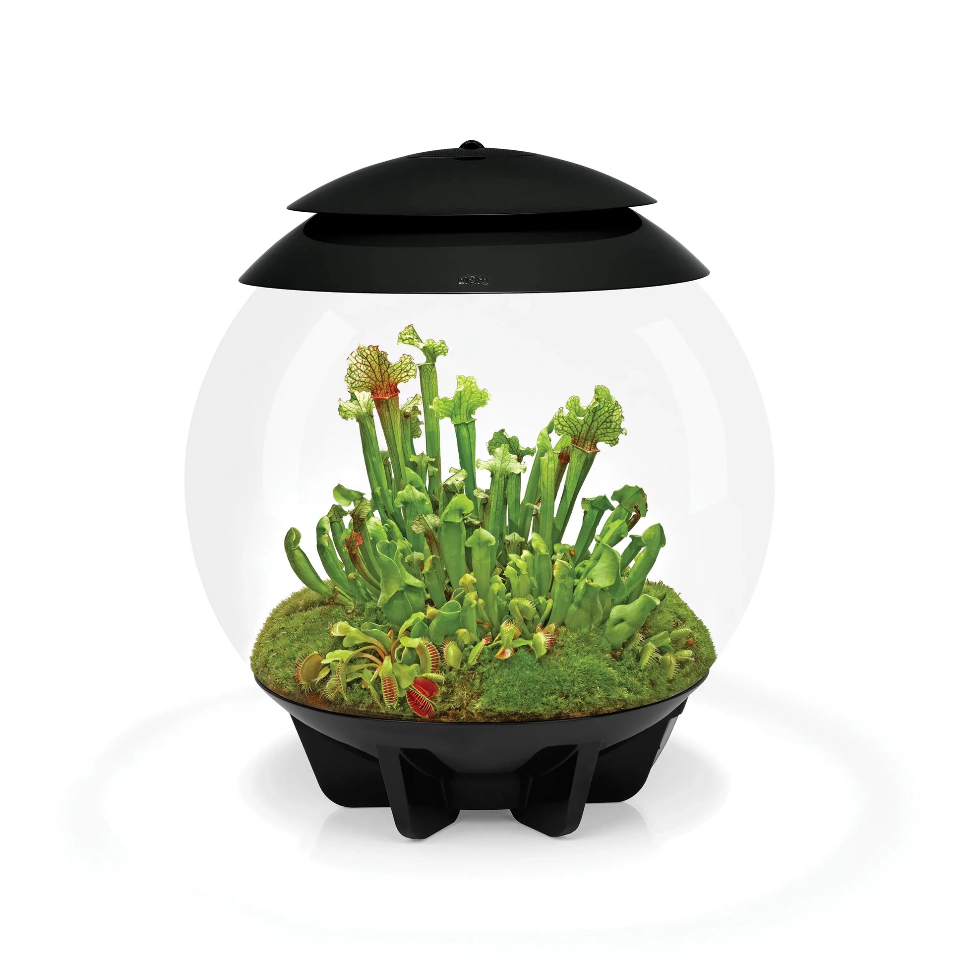 biOrb AIR LED Terrarium BiOrb