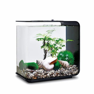 biOrb Aquarium Decor Set 15L BiOrb