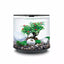 biOrb Aquarium Decor Set 15L BiOrb