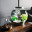 biOrb CLASSIC 15 Aquarium with Standard Light 4 gallon BiOrb