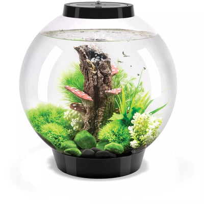 biOrb CLASSIC 30 Aquarium with MCR Light 8 gallon BiOrb