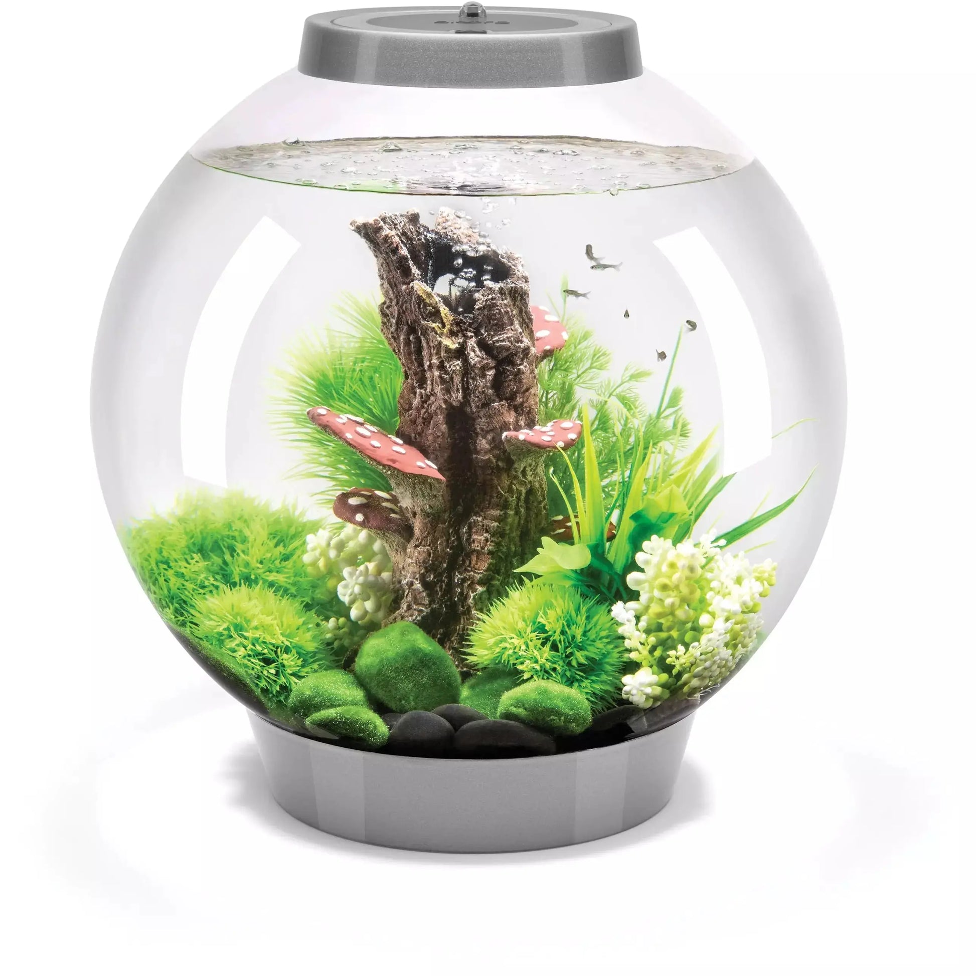 biOrb CLASSIC 30 Aquarium with MCR Light 8 gallon BiOrb