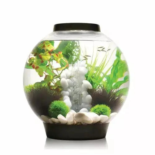 biOrb CLASSIC 30 Aquarium with Standard Light 8 gallon BiOrb