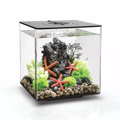 biOrb CUBE 30 Aquarium with MCR Light 8 gallon BiOrb CPD