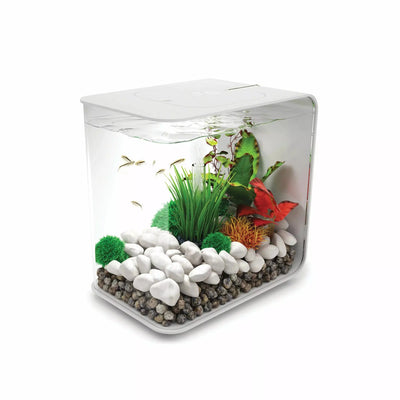 biOrb FLOW 15 Aquarium with Standard Light 4 gallon BiOrb