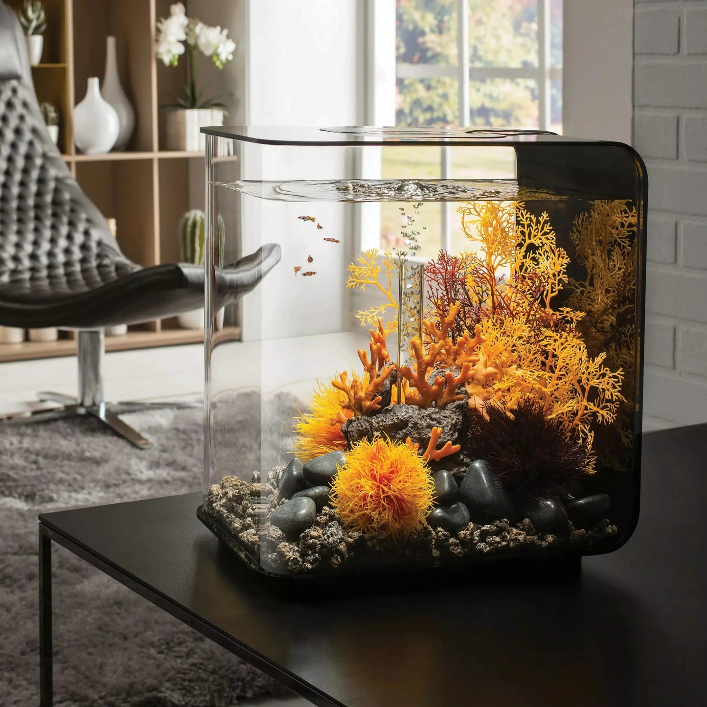 biOrb FLOW 30 Aquarium with Standard Light 8 gallon BiOrb