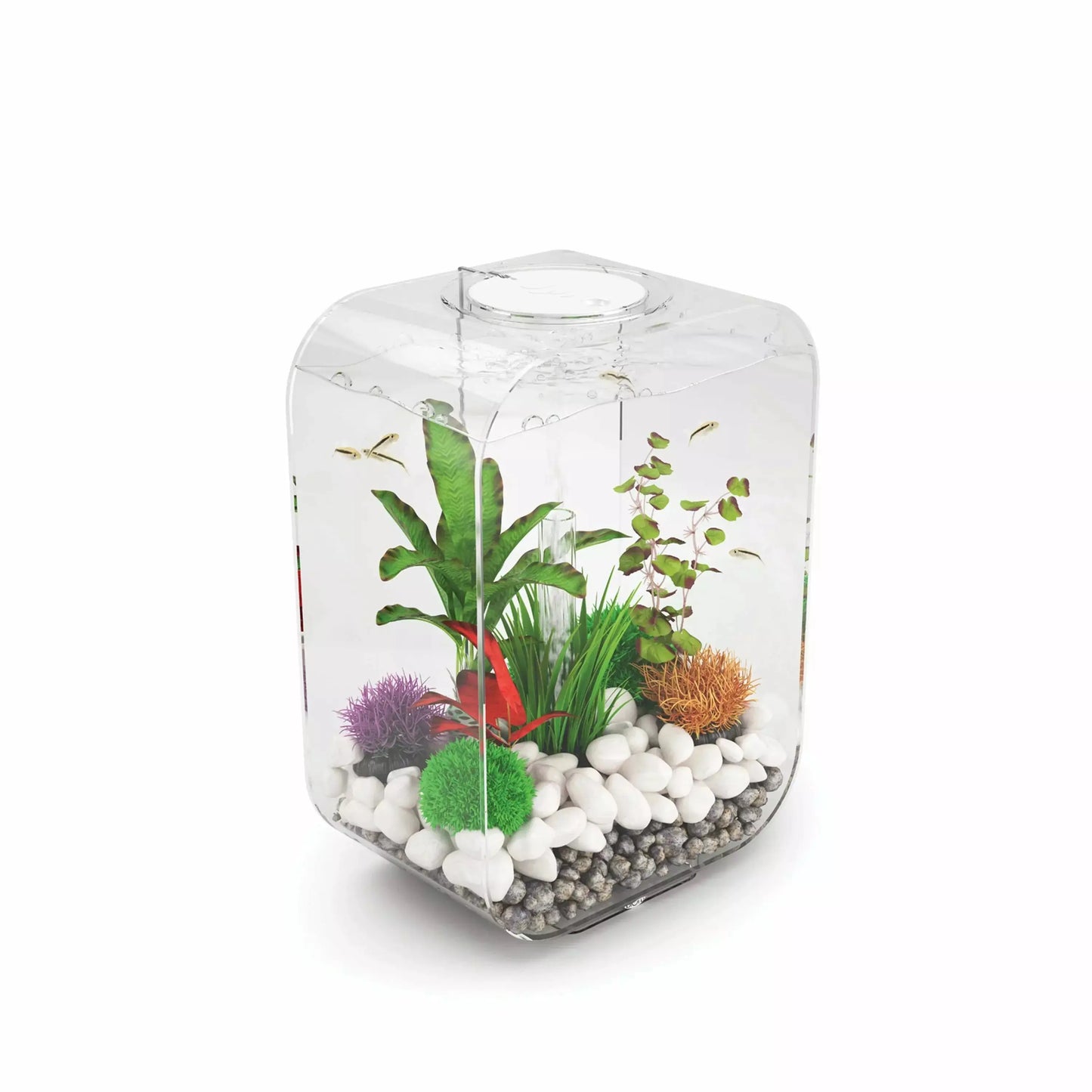 biOrb LIFE 15 Aquarium with Standard Light  4 gallon BiOrb