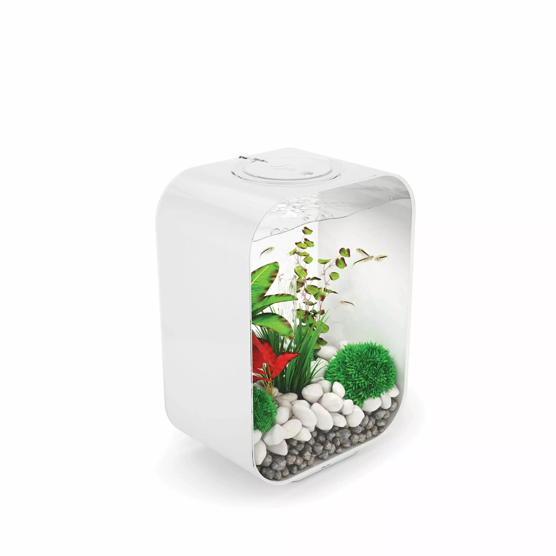 biOrb LIFE 15 Aquarium with Standard Light  4 gallon BiOrb