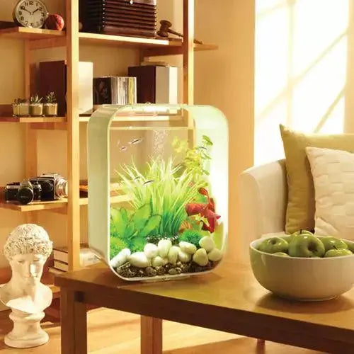 biOrb LIFE 15 Aquarium with Standard Light  4 gallon BiOrb