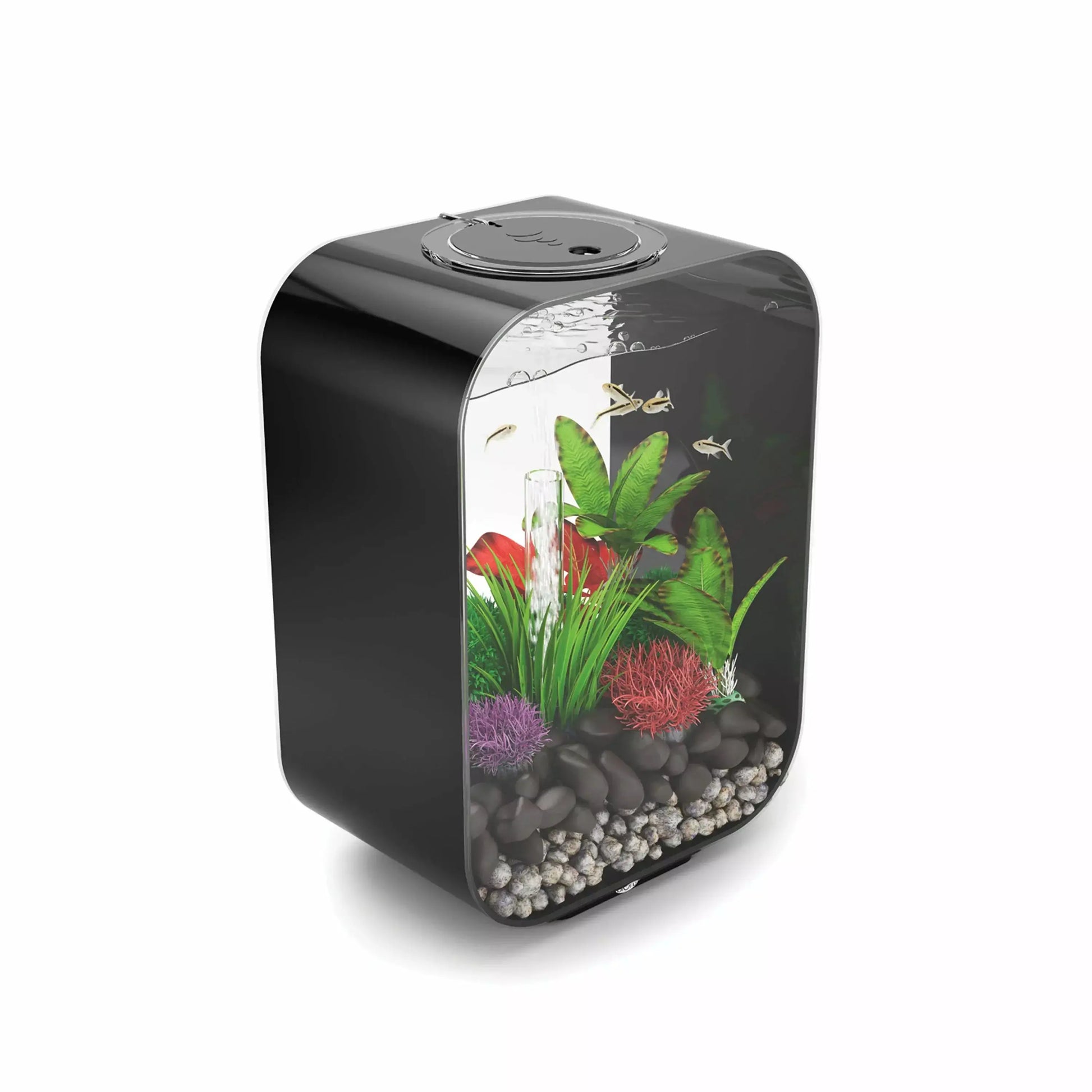 biOrb LIFE 15 Aquarium with Standard Light  4 gallon BiOrb