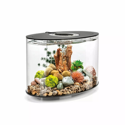 biOrb LOOP 15 Aquarium with MCR Light  4 gallon BiOrb