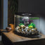 biOrb LOOP 15 Aquarium with MCR Light  4 gallon BiOrb