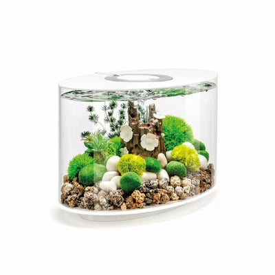 biOrb LOOP 15 Aquarium with Standard Light  4 gallon BiOrb