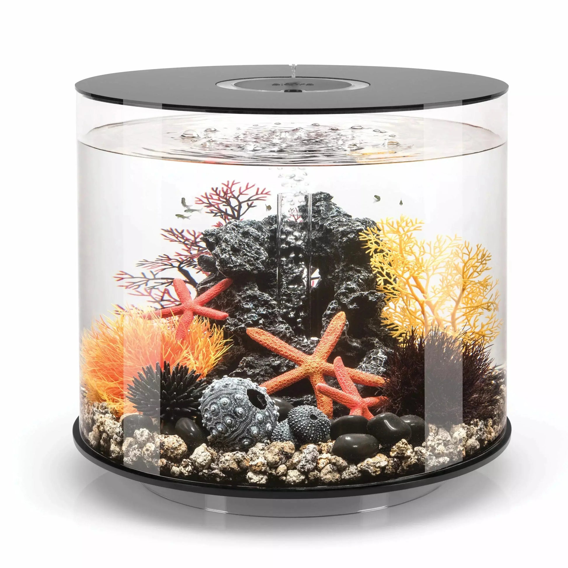 biOrb TUBE 35 Aquarium with MCR Light  9.2 gallon BiOrb